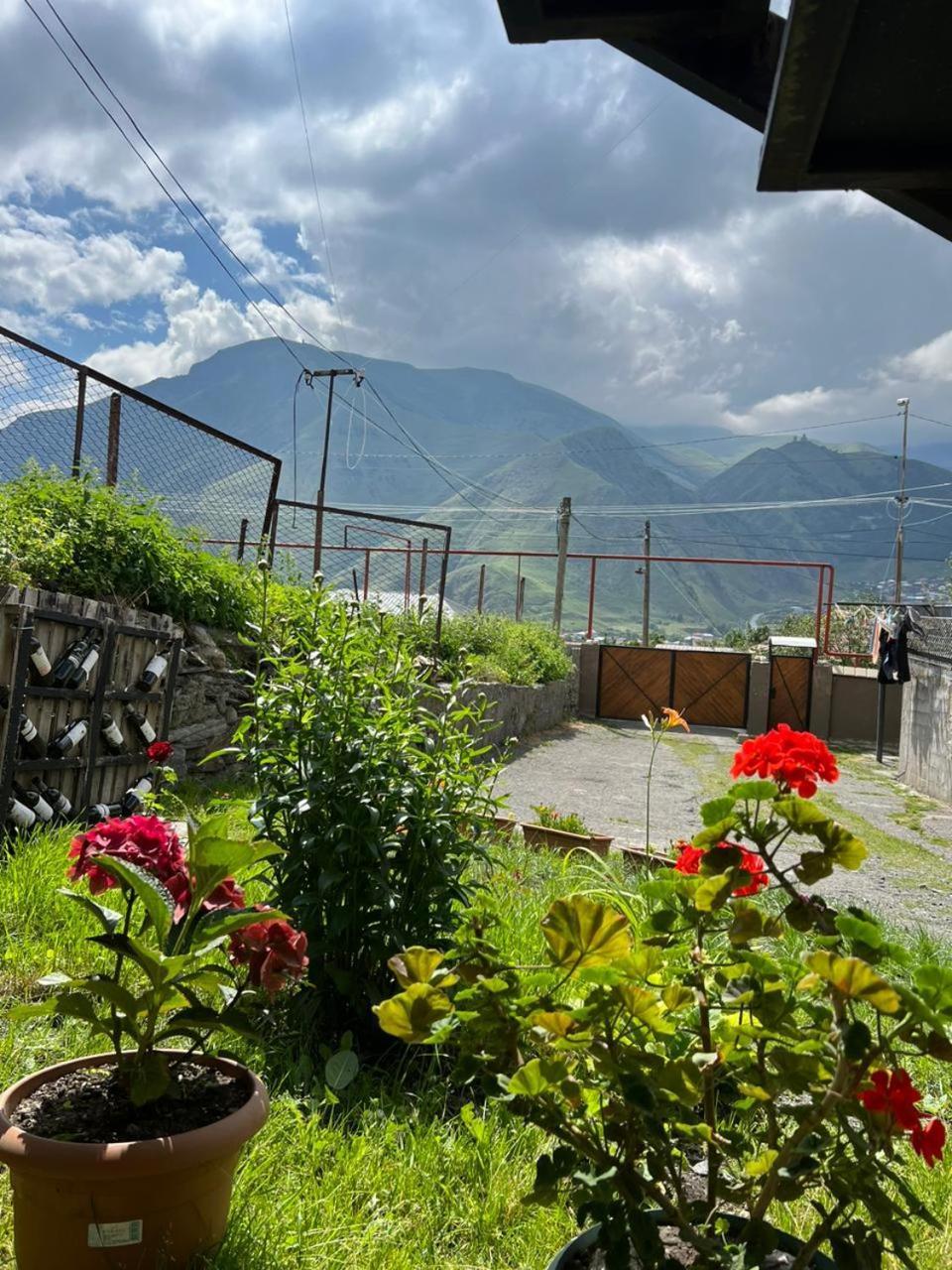 Guesthouse Relax In Kazbegi Bagian luar foto